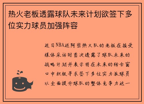 热火老板透露球队未来计划欲签下多位实力球员加强阵容